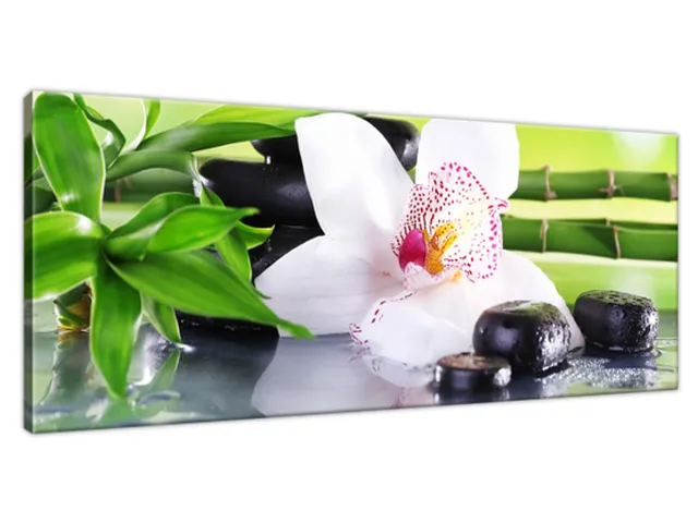 Obraz SPA kamene a orchidea