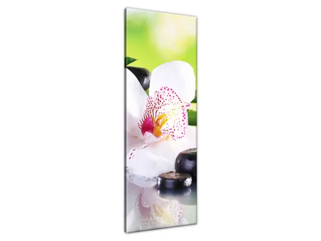 Obraz SPA kamene a orchidea