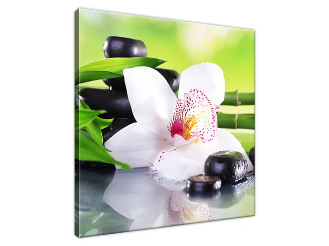 Obraz SPA kamene a orchidea