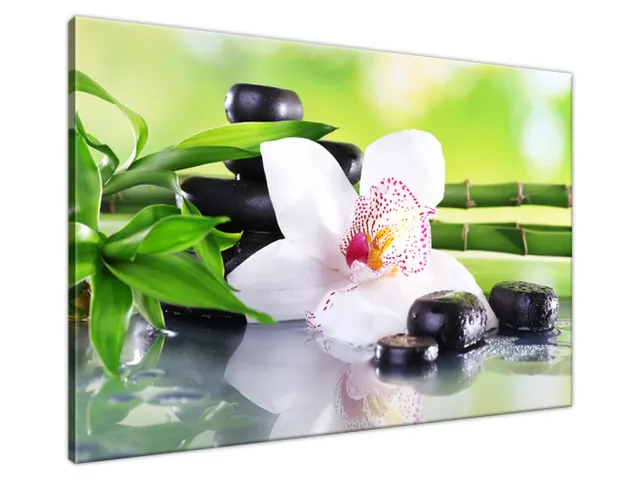 Obraz SPA kamene a orchidea