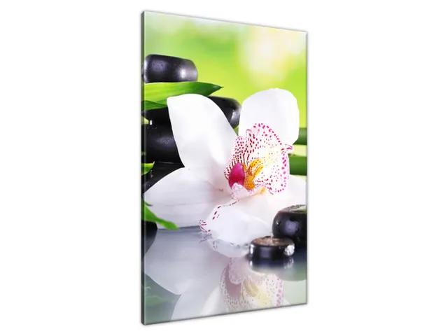 Obraz SPA kamene a orchidea