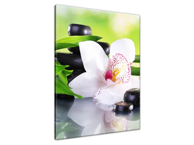 Obraz SPA kamene a orchidea