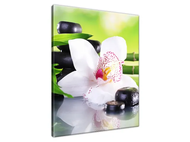 Obraz SPA kamene a orchidea