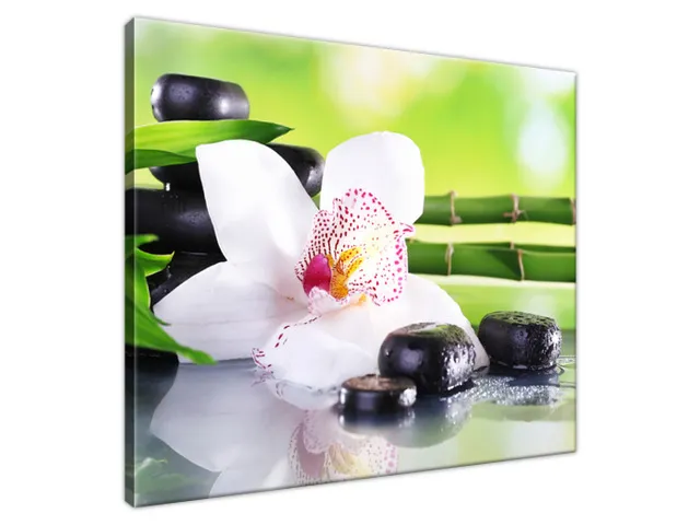 Obraz SPA kamene a orchidea