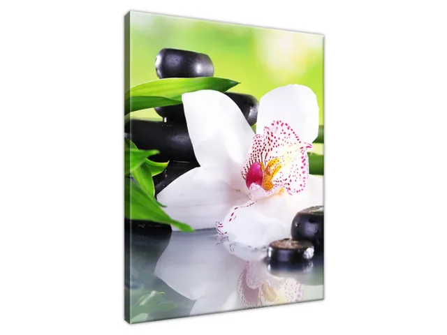 Obraz SPA kamene a orchidea
