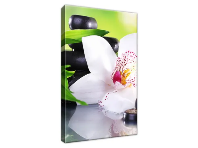 Obraz SPA kamene a orchidea
