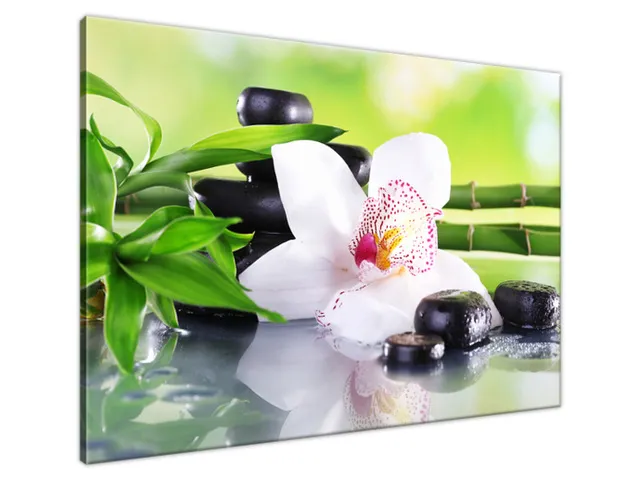 Obraz SPA kamene a orchidea