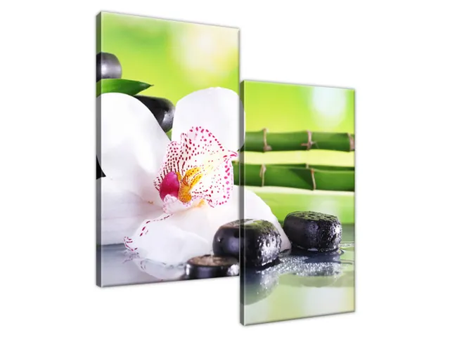 Obraz SPA kamene a orchidea