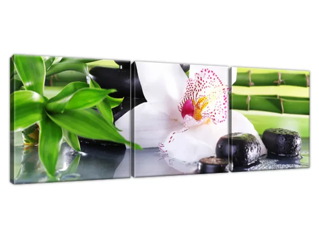 Obraz SPA kamene a orchidea