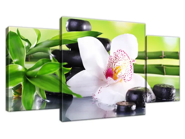 Obraz SPA kamene a orchidea