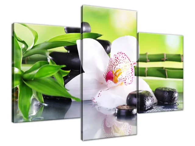 Obraz SPA kamene a orchidea