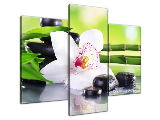 Obraz SPA kamene a orchidea