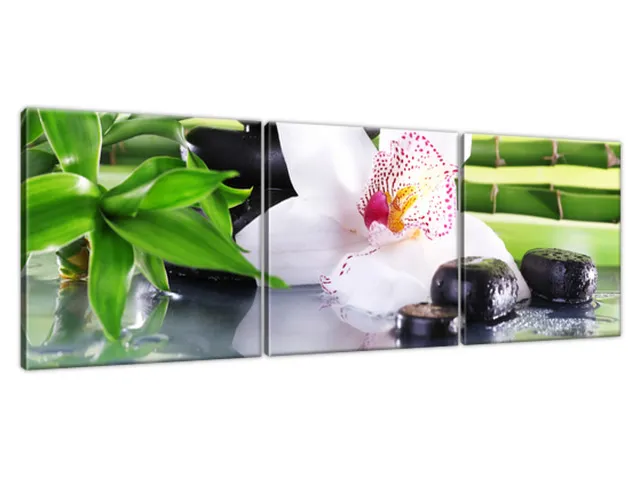Obraz SPA kamene a orchidea