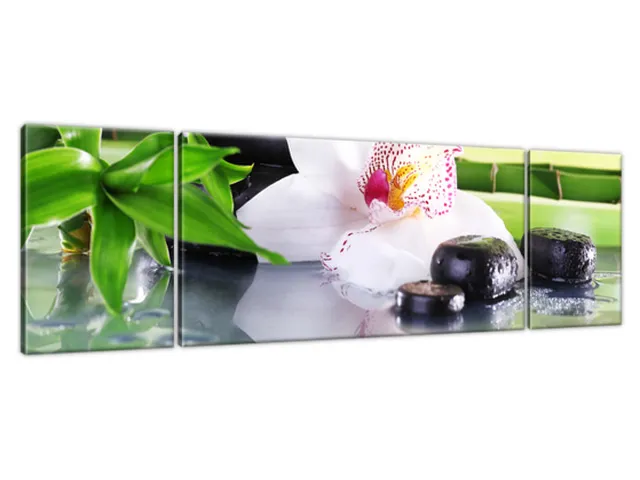 Obraz SPA kamene a orchidea