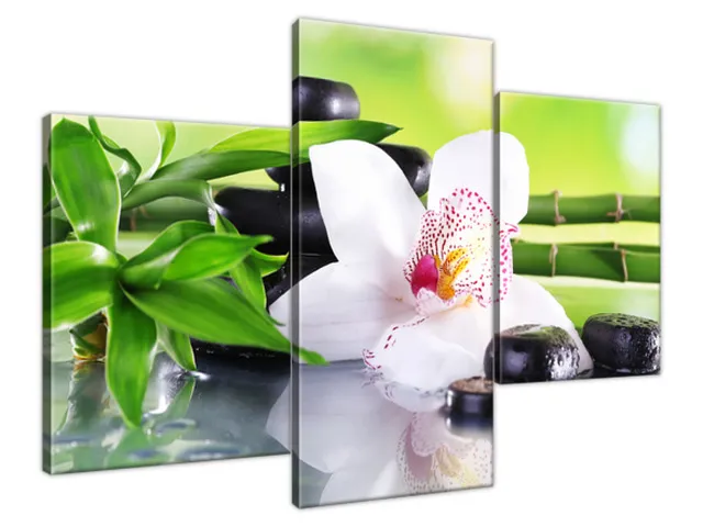 Obraz SPA kamene a orchidea