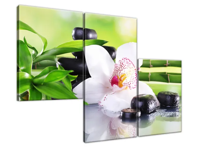 Obraz SPA kamene a orchidea