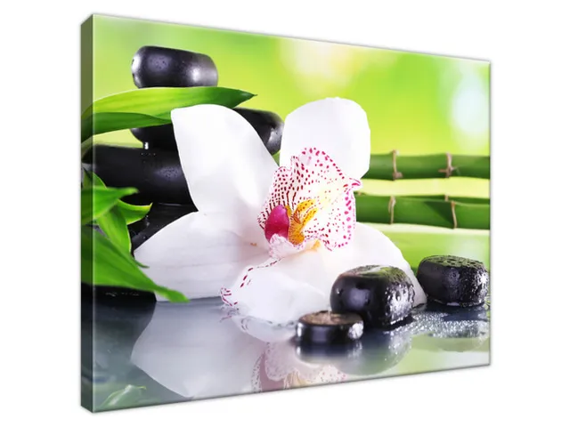 Obraz SPA kamene a orchidea