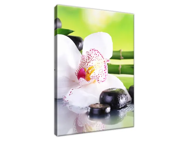 Obraz SPA kamene a orchidea