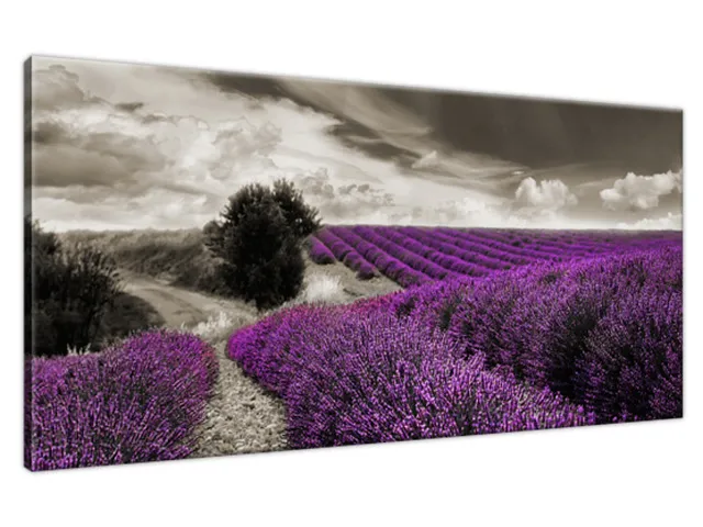 Obraz Levanduľový výhľad