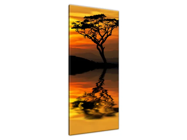 Moderný obraz Afrika