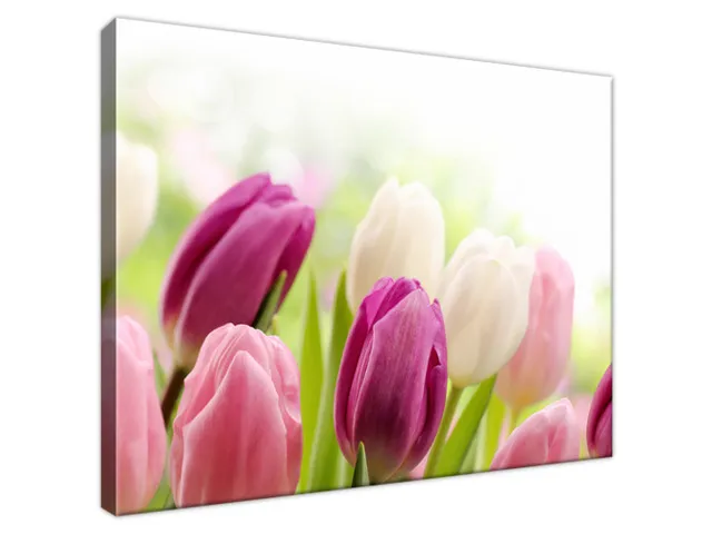 Luxusný obraz Krásne tulipány