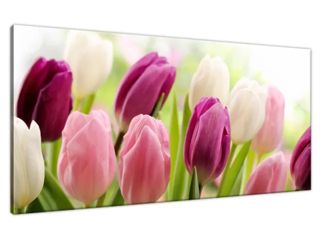 Luxusný obraz Krásne tulipány