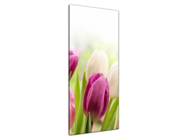 Luxusný obraz Krásne tulipány