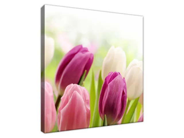 Luxusný obraz Krásne tulipány