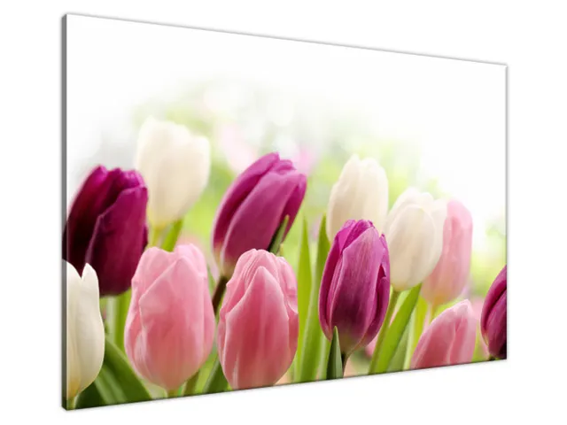 Luxusný obraz Krásne tulipány