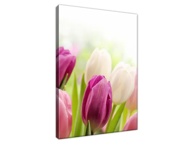 Luxusný obraz Krásne tulipány