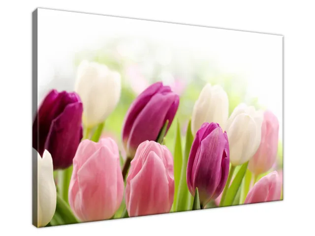 Luxusný obraz Krásne tulipány