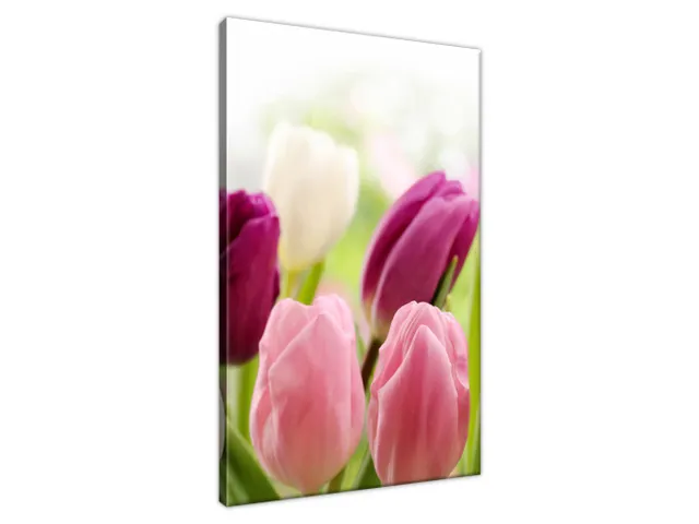Luxusný obraz Krásne tulipány