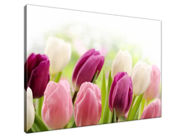 Luxusný obraz Krásne tulipány
