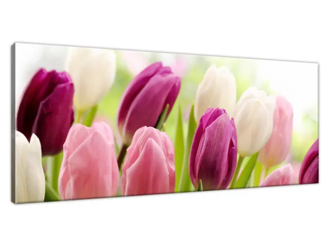 Luxusný obraz Krásne tulipány