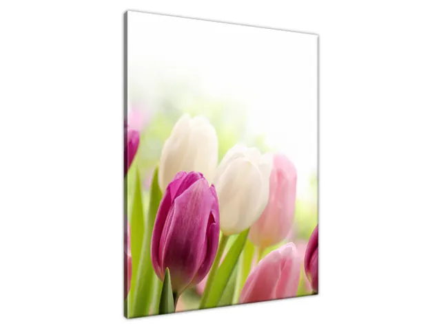 Luxusný obraz Krásne tulipány