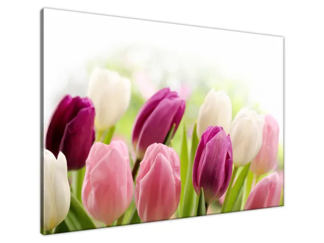 Luxusný obraz Krásne tulipány