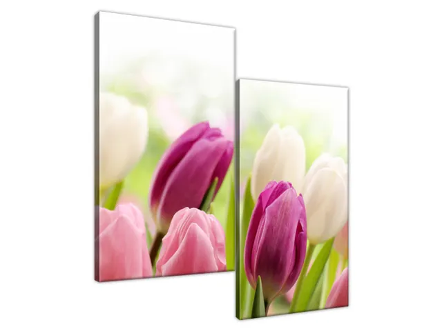 Luxusný obraz Krásne tulipány
