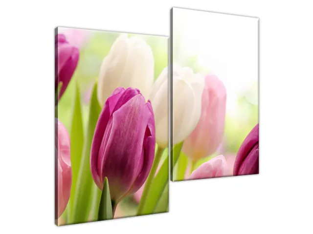 Luxusný obraz Krásne tulipány