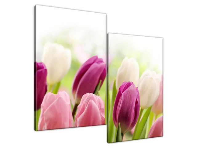 Luxusný obraz Krásne tulipány