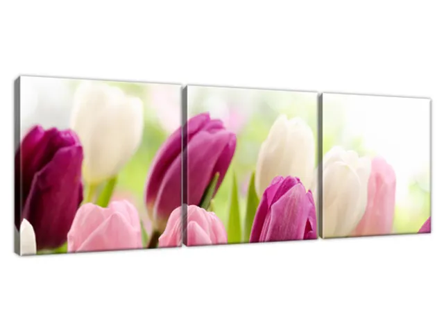 Luxusný obraz Krásne tulipány