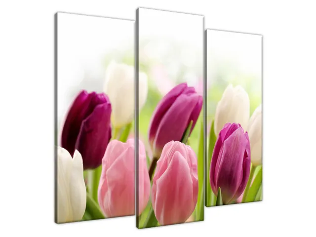 Luxusný obraz Krásne tulipány