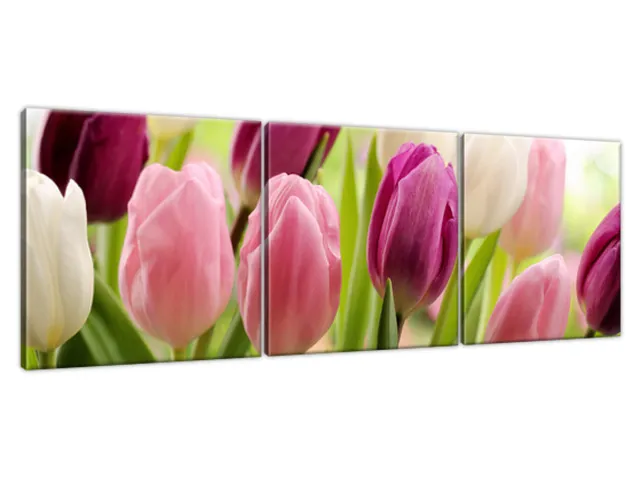 Luxusný obraz Krásne tulipány