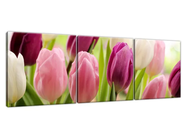 Luxusný obraz Krásne tulipány