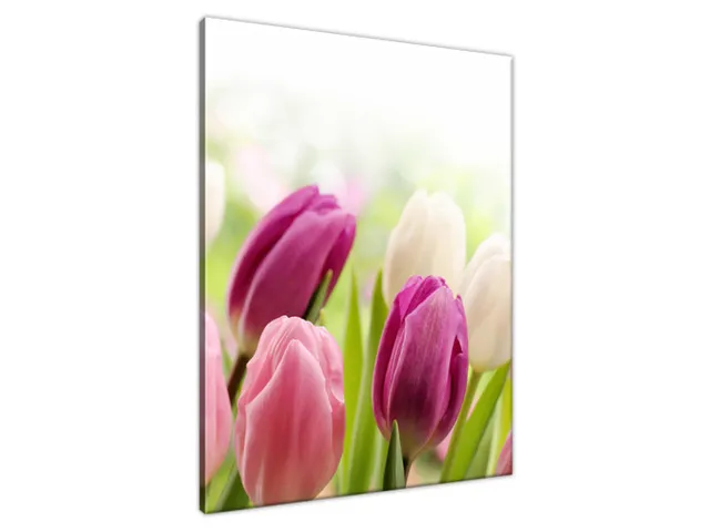 Luxusný obraz Krásne tulipány