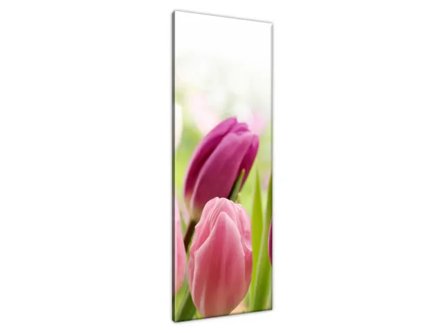 Luxusný obraz Krásne tulipány