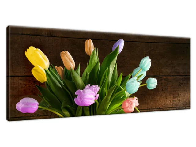 Obraz Farebné tulipány