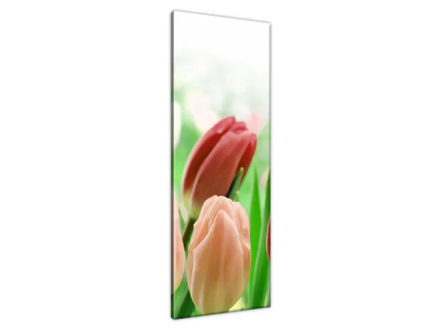 Moderný obraz na stenu Červené tulipány