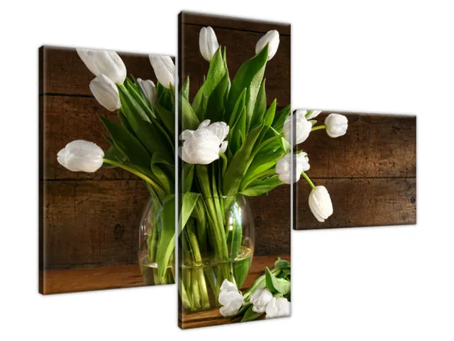 Moderný obraz Snehobiele tulipány