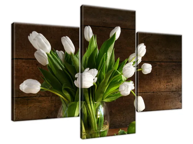 Moderný obraz Snehobiele tulipány