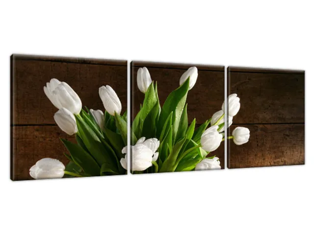 Moderný obraz Snehobiele tulipány